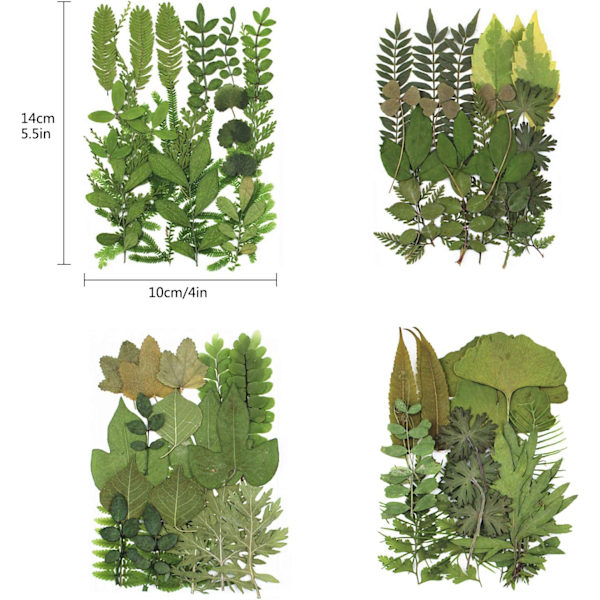 4 Pakke Presset Tørkede Blader Herbarium Plante Kronblad Blader Mix Ekte Naturlige Tørkede Blader For Resin Art DIY Nail Art Pynt Klistremerker Presset Le