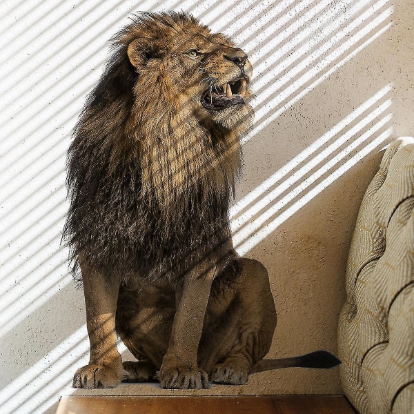 （30*60 cm） En set av lejonväggklistermärke, väggdekoration väggdekor