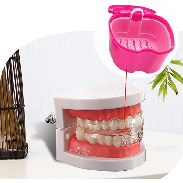 1 st case Ortodontisk tandhållare Box Falske Teeth St