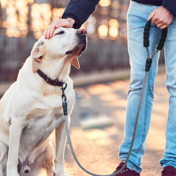 Hunderem, rund snor, golden retriever kæledyr hund snor (sort og hvide striber)