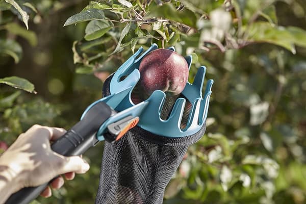 Fruktplukker: praktisk høstingsverktøy, egnet for alle håndtak)