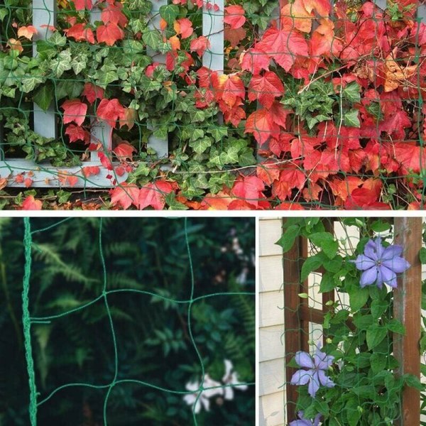 H 3,6 x 1,8 m Plante espalier Optimal espalier for hage og drivhus Hage netting for agurker og klatreplanter Maskestørrelse (95 mm)