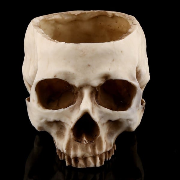 Resin Skull Blomsterpotte Skull Vase Resin Head Model til Halloween