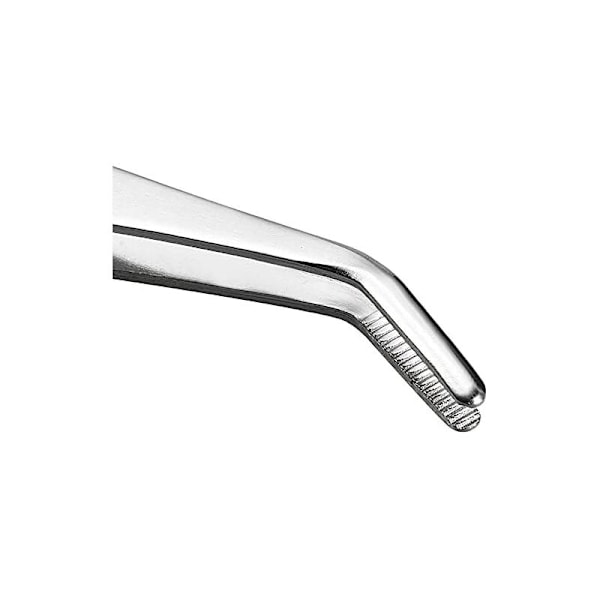 2 par 12 cm rustfrie stålplugger med buet dentalspiss Profesjonell tang for flere bruksområder for industrielt arbeid, laboratorium, hage