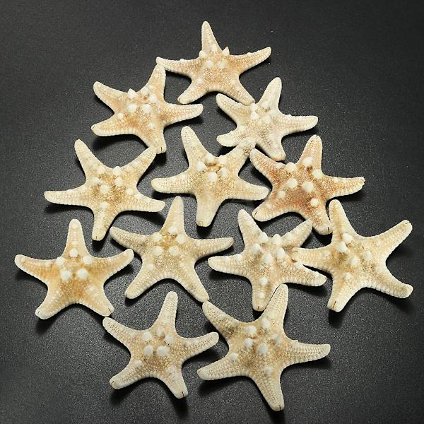 12 X Knutade sjöstjärnor 5-7cm sjöstjärna strandbröllop display hantverksdekoration