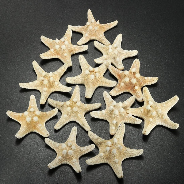 12 X Knutete Sjøstjerner 5-7cm Sjøstjerne Strand Bryllup Display Håndverk Dekorasjon