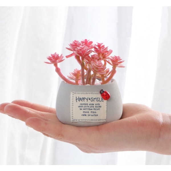 Mini Sukkulent Mikro Landskap Simulering Potteplante (Grønn Bergamot)