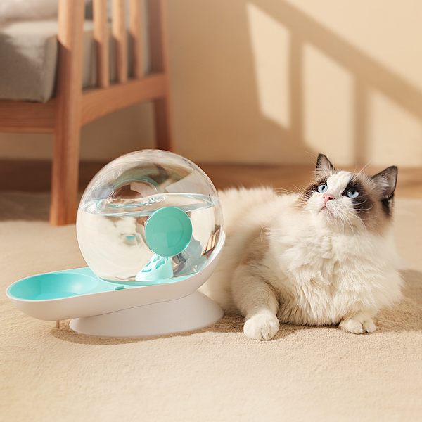 QININI 2,8L Automatisk Vanddispenser til Katte og Hunde med Integreret Filter Baseret på Pascal-Princippet, Miljøvenlig Uden Elektricitet, Blå