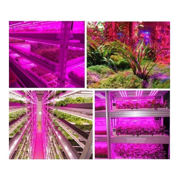 LED Plant Grow Light, Smart Hand Sweeping Waterproof Plant Light Strip 2 Meter Waterproof LED Plant Grow Light Strip, 2 Meter