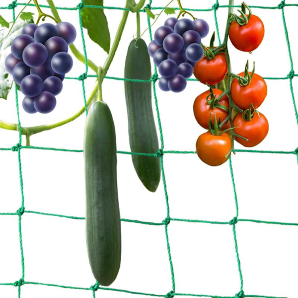 1.8 x 3 m Klatreplanter Net Espalier Met Mat til Høst Tomater Agurker BÆLGPLANTER VINPLANTER KRYBENDE PLANTER