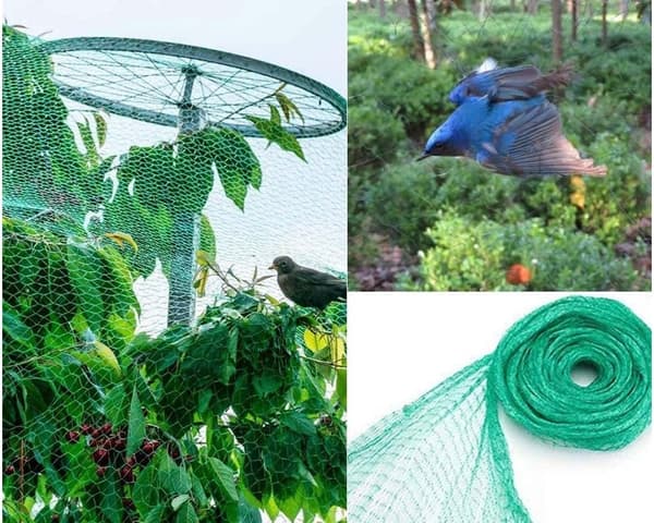 4 x 12 meter, trädgårdsnät, maximalt skydd för blomväxter upp till 48 m², klippt
