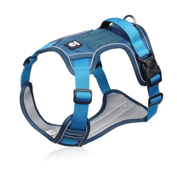 Lake Blue, S-Adventure Easy On/Off Harness with Front and Back Leash Clips and Control Handle No Pulling or Strangling Adjustable Size