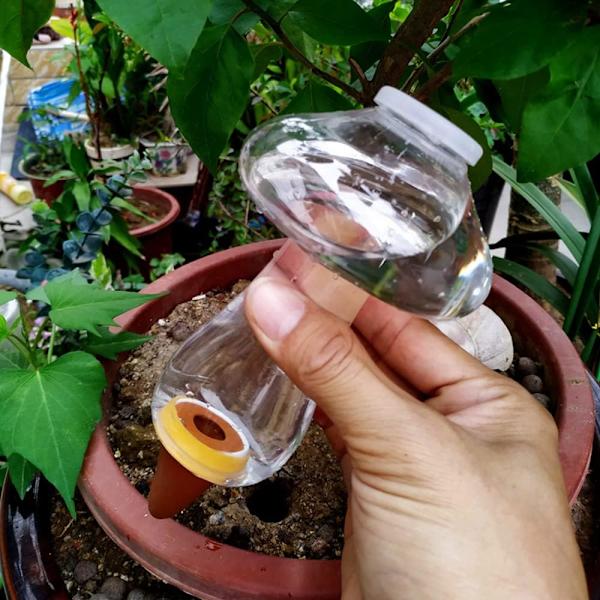 2 kappaletta kartiomainen kastelupullo 500ML, sisäkasvien savipallo, automaattinen kastelujärjestelmä istutusruukkuun, vedenjakelulaitteet kasvien kasteluun loma