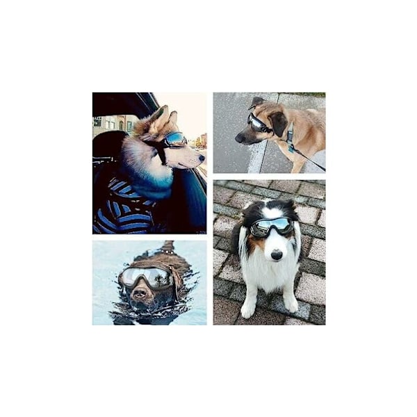 Hundebriller Kjæledyr Briller Øyebeskyttelse Cut - Vind- og vanntett for mellomstore og store hunder