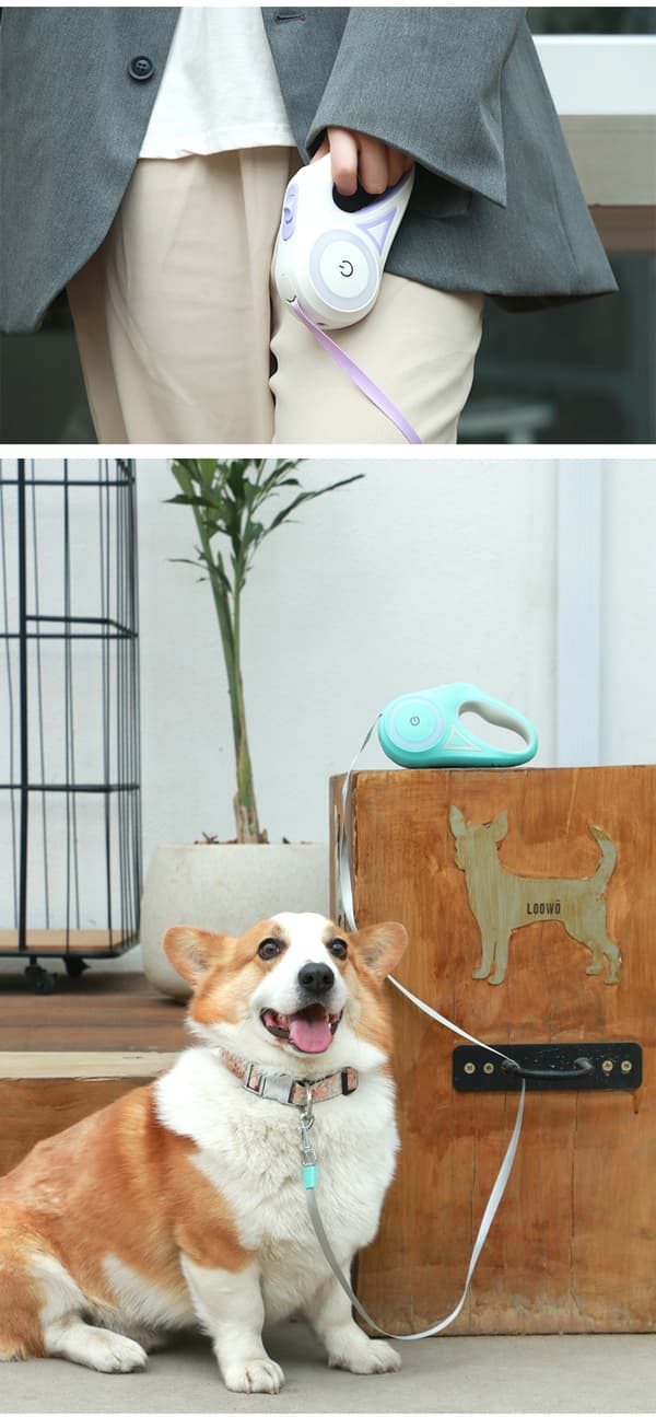 Retractable Dog Leash With Light,dogs Or Cat Flashlight Purple