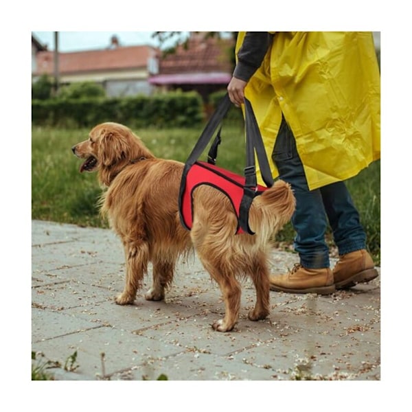 S magvändning 48cm, husdjursväst, hundsele för stöd vid promenader