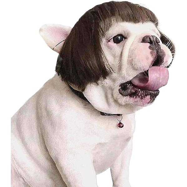 Hundekatt Cosplay Parykk, Kjæledyr Parykker, for Halloween, Jul, Fester, Festivaler, Hunde Parykker for Små Mellomstore og Store Hunder Cosplay (Lin Farge Smell)