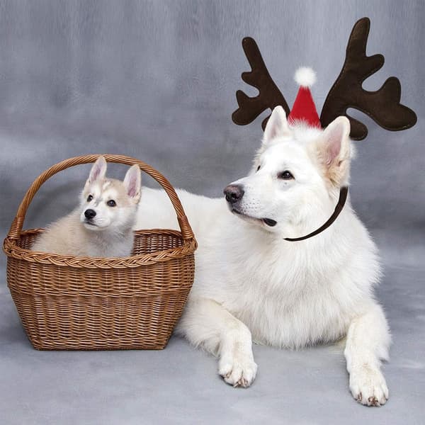 Hjortehorn pannebånd til hund, julekostyme, tilbehør