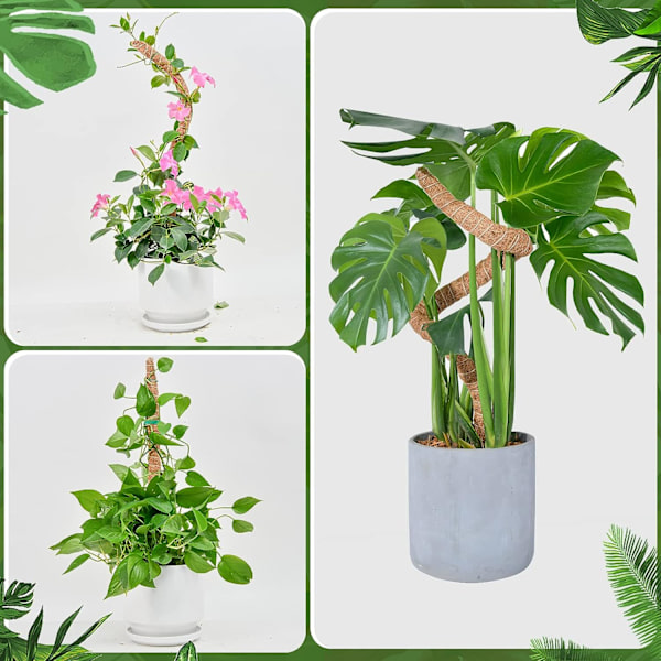 Bøyelig mosepinne for planter, 2 x 23,6 tommer mosepinne sett for klatreplanter Håndlagde slanke plantestolper for innendørs planter
