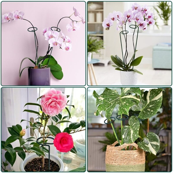 Set med 10 metallväxtstöd, blomstöd för robusta trädgårdsväxter för amaryllis, liljor, pion, vitt papper, orkidéer