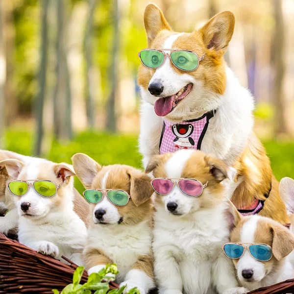 4 par solglasögon formade som katt - UV-skydd Klassiska retro små hundsolglasögon för fest Maskerad Foto rekvisita Pilotglasögon