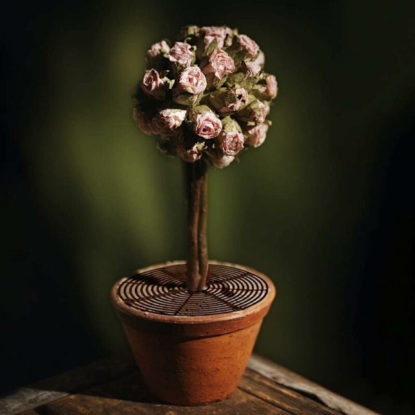 Set med 2 skyddsgaller för blomkrukor - kattskrämmor - babyskydd - för att skydda barn och husdjur - 30 cm - Brun