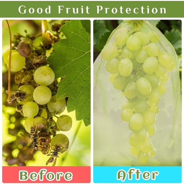 Beskyttelsespose for drueklase, 60 stk 3 størrelser Fruktbeskyttelse Ba