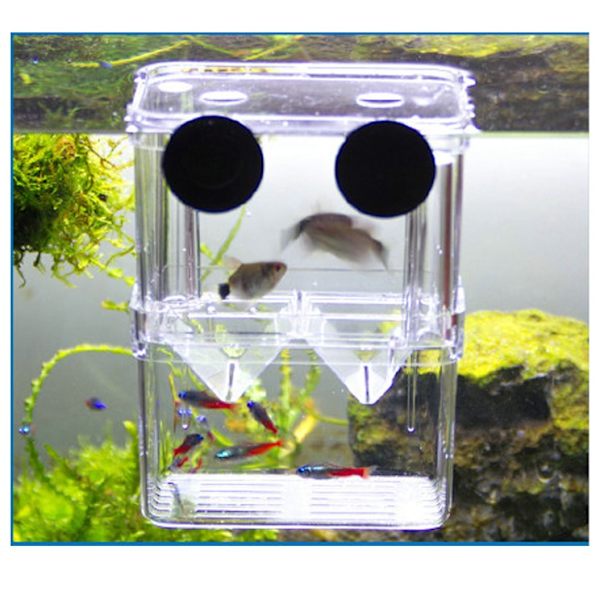 Fiskeavlkasse, flydende akvarium akrylrugemaskine, babyfisk rejer rugemaskine isolationskasse, dobbeltlags opdrættere inkubator isolationsrugemaskine B