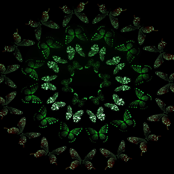 48 stykker selvlysende 3D nattglød mørk sommerfugl veggdekor
