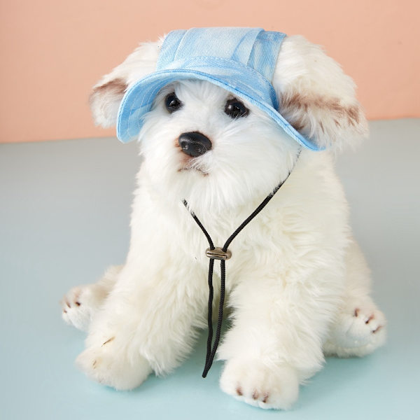 (Blå) Pet Baseball Cap Udendørs Dekoration Hund Lærred Hat Hvalp Hoved Dekoration Udendørs Hat Hvalp Sol Hat Hund Hovedbeklædning Hat