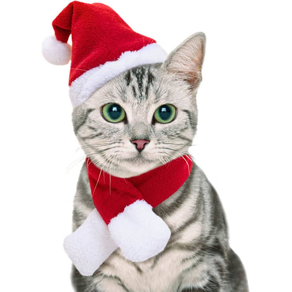 Jul husdjursdräkt katt tomteluva med halsduk valp juldräkt