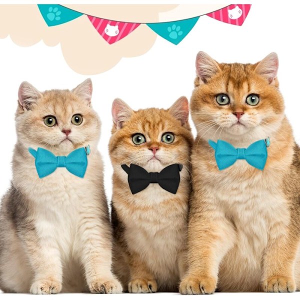 Set med 2 chatt-halsband med bjällra, justerbart sammetshalsband med fjärilsknut för husdjur, kattunge, katt, valp och examen, bröllop, födelse