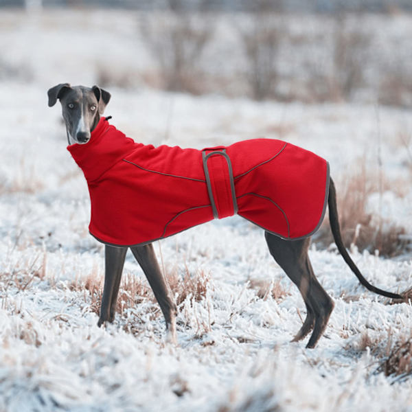 Premium Hundejakke Med Termisk For - Rød - XXL