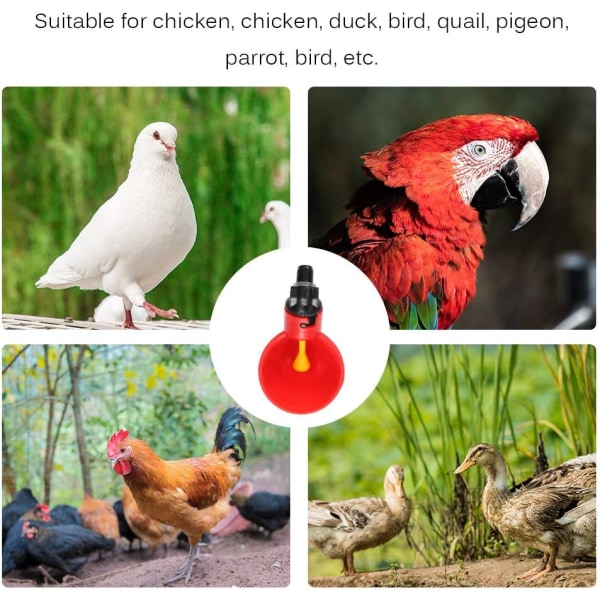 10 automatiske vanningskopper for kylling, automatisk kyllinghøne fuglevann