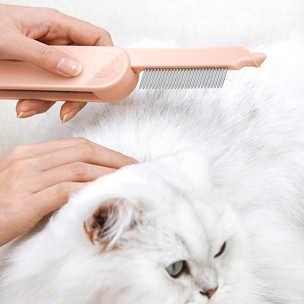 Vit katt självläkande leksak kattmynta husdjur retas katt uppfödning katt molarer för att lindra tristess tuggummi tandborste tillbehör