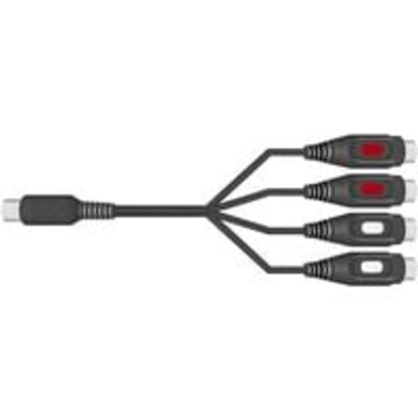 SpeaKa Professional SP-7870300 Cinch-RCA / DIN-liitäntä ääni Y-sovitin [1x 5-napainen urosdiodi (DIN) - 4x Cinch-RCA