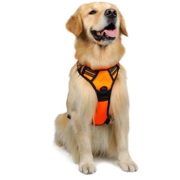 Orange, S-Harness Anti-Pull Dog, Arnet för hundar Lätt att sätta på annons
