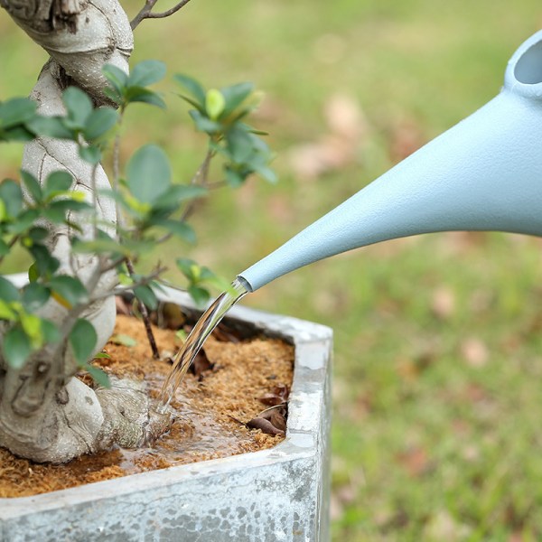 CAN CAN pitkä nokka kastelu puutarhanhoito parveke kastelukasvit (harmaa - 2L)