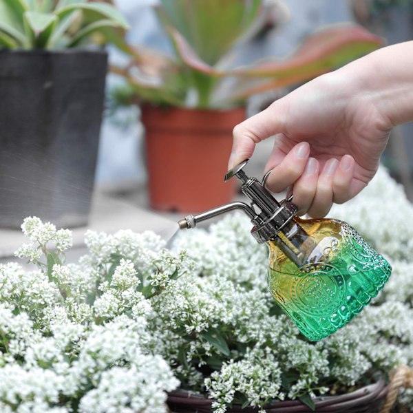 Retro dekorativ glasplantevandkande med top pumpe til indendørs planter glasbeholder (grøn)