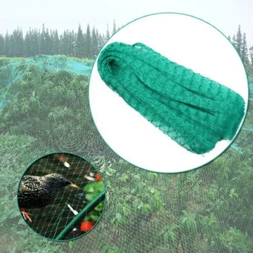 Lintuhäkk 5 X 20 M