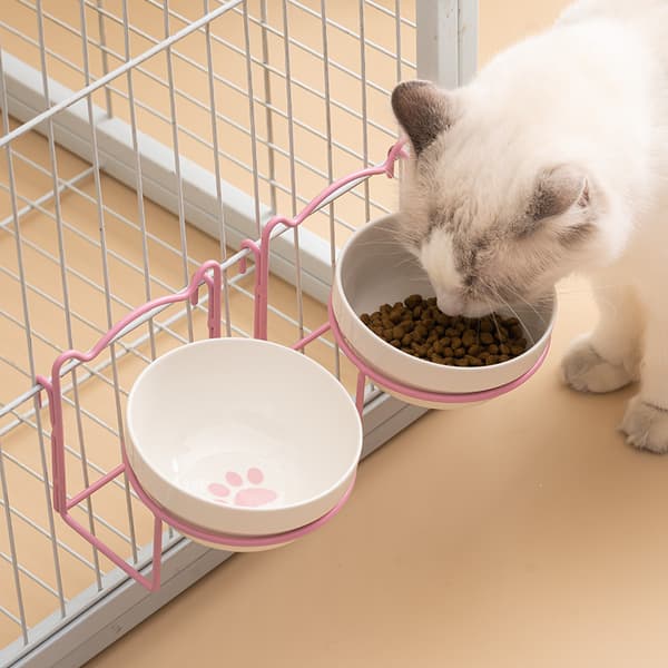 Keramisk skål for katter, rosa. Gul