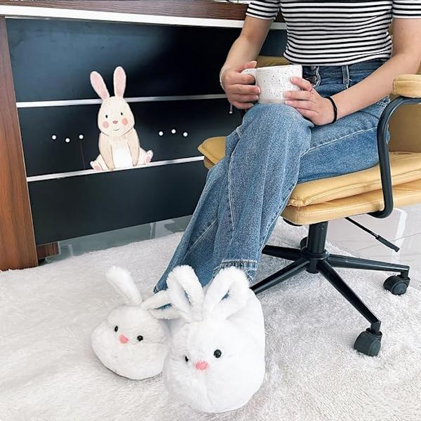 Naisten eläinslipperit Söpöt Koala-plyyssitossut Kawaii Memory Foam Carton Talvi Lämpimät Kotitossut Joulu Tytöt Aikuiset 5-6.5UK