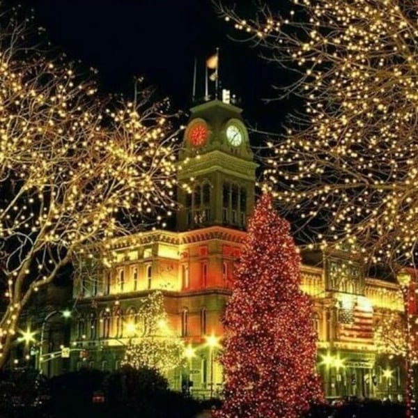 100m 800 LED LYS CARNAVAL Bryllup Udendørs Havebelysning - Indendørs møbeldekoration Juledekoration 、 Halloween Lys Guirlander