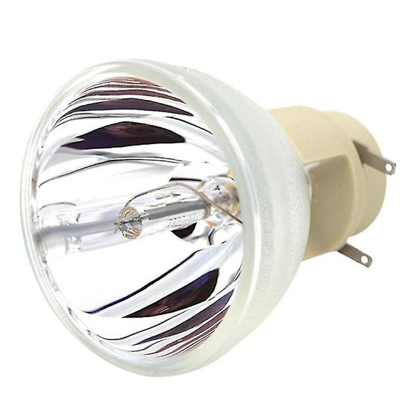 Kompatibel W1070 W1070+ W1080 W1080st Ht1085st Ht1075 W1300 Projektorlampa 240/0.8 E20.9n För