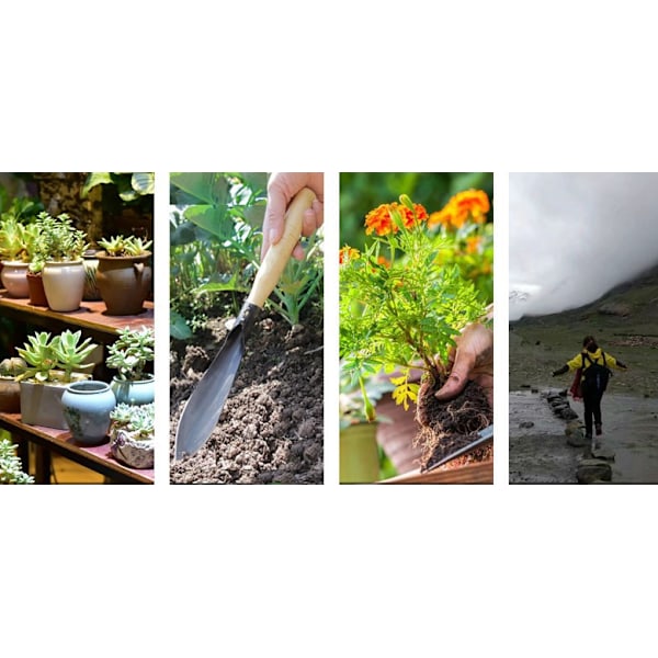 Transplanter Spade Hagearbeid Graving Vill Grønnsak Jern Spade Planting Hvitløk Blomst Rustfritt Stål Hvitløk Frøplante Spade Landbruks Grønnsak