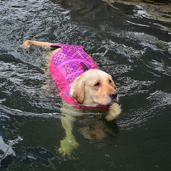 Hunde redningsvest, havfrue stil, egnet til små og mellemstore hunde (S)