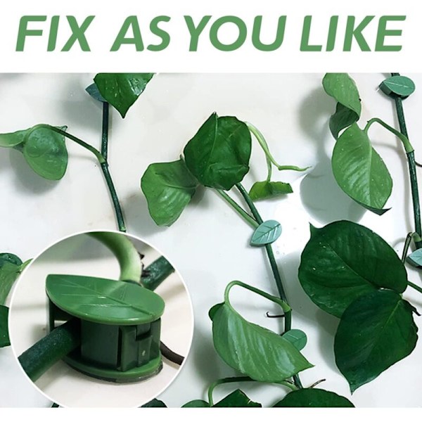 80 stycken växtfixering, klämma för klätterväxter på vägg, självhäftande växtklämmor i form av ett blad, stödklämmor för klätterväxter w