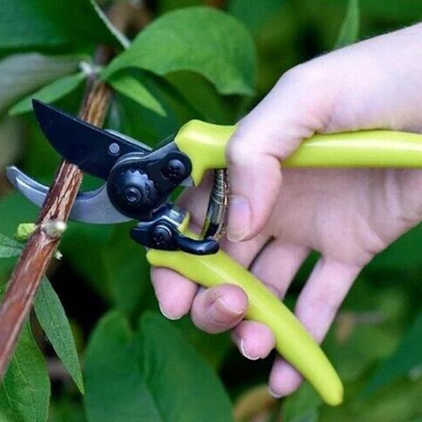 Hagesaks for planter og blomster