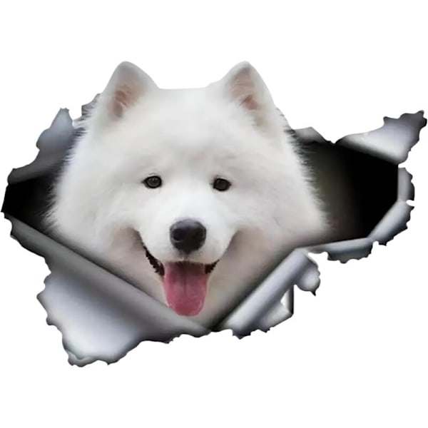 Samojede bilmærkat Klistermærke 15 cm (5,9 tommer) hvid Samojede refleksmærkat dyr sjov 3D hund revet hvid bilmærkat Samoyède Autoco