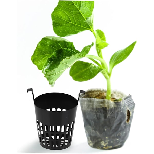 10 stk. Krogplante Kurv Hydroponisk Planter Gelænder Plantevækst Kurv Pp Spand Kurv Sort Selvudsprøjtning
